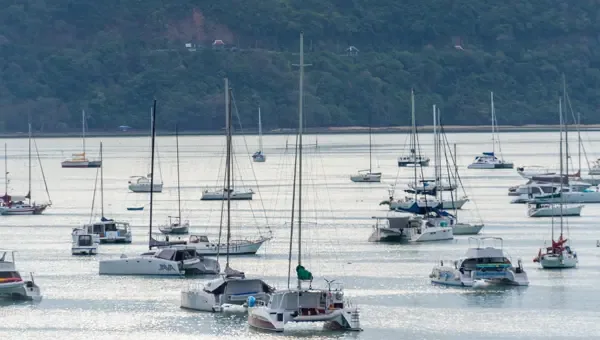 Sailboats and catamarans anchored in a bay